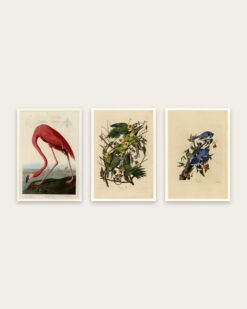 Audubon Birds Set of 3