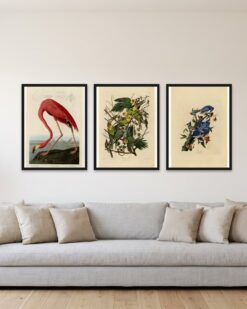 Audubon Birds Set of 3