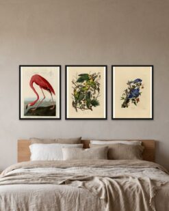 Audubon Birds Set of 3