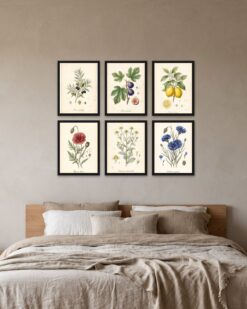 Botanical Archive Gallery Wall Set of 6