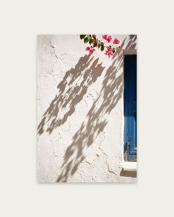 Bougainvillea Shadows
