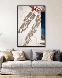 Bougainvillea Shadows