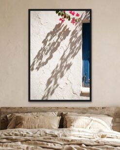 Bougainvillea Shadows