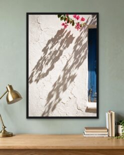 Bougainvillea Shadows