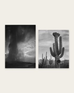 Desert and Geyser Set of 2
