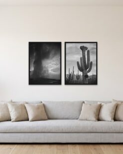 Desert and Geyser Set of 2