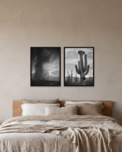 Desert and Geyser Set of 2