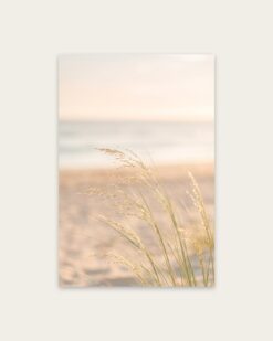 Dune Grass