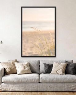 Dune Grass