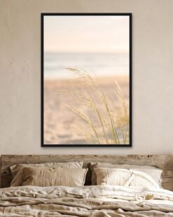 Dune Grass