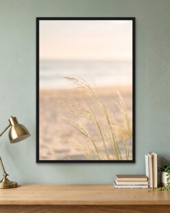 Dune Grass