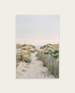 Dune Path