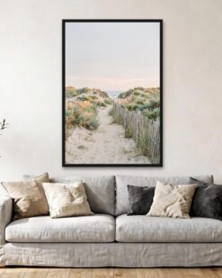 Dune Path