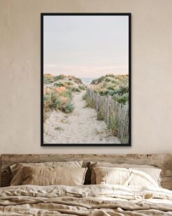 Dune Path