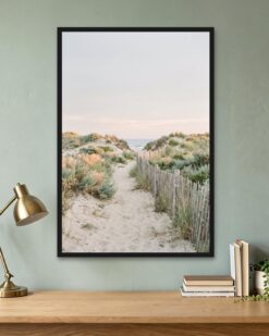 Dune Path