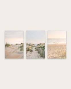 Dunes Set of 3