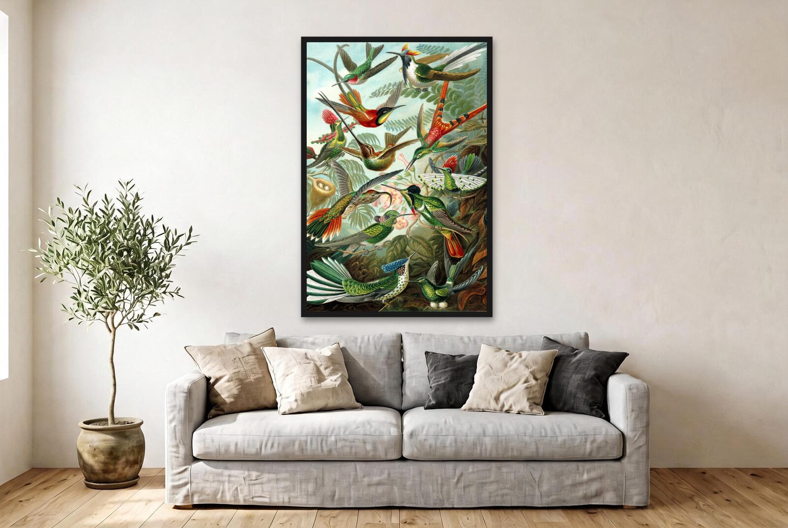 Ernst Haeckel – Hummingbirds (Trochilidae)