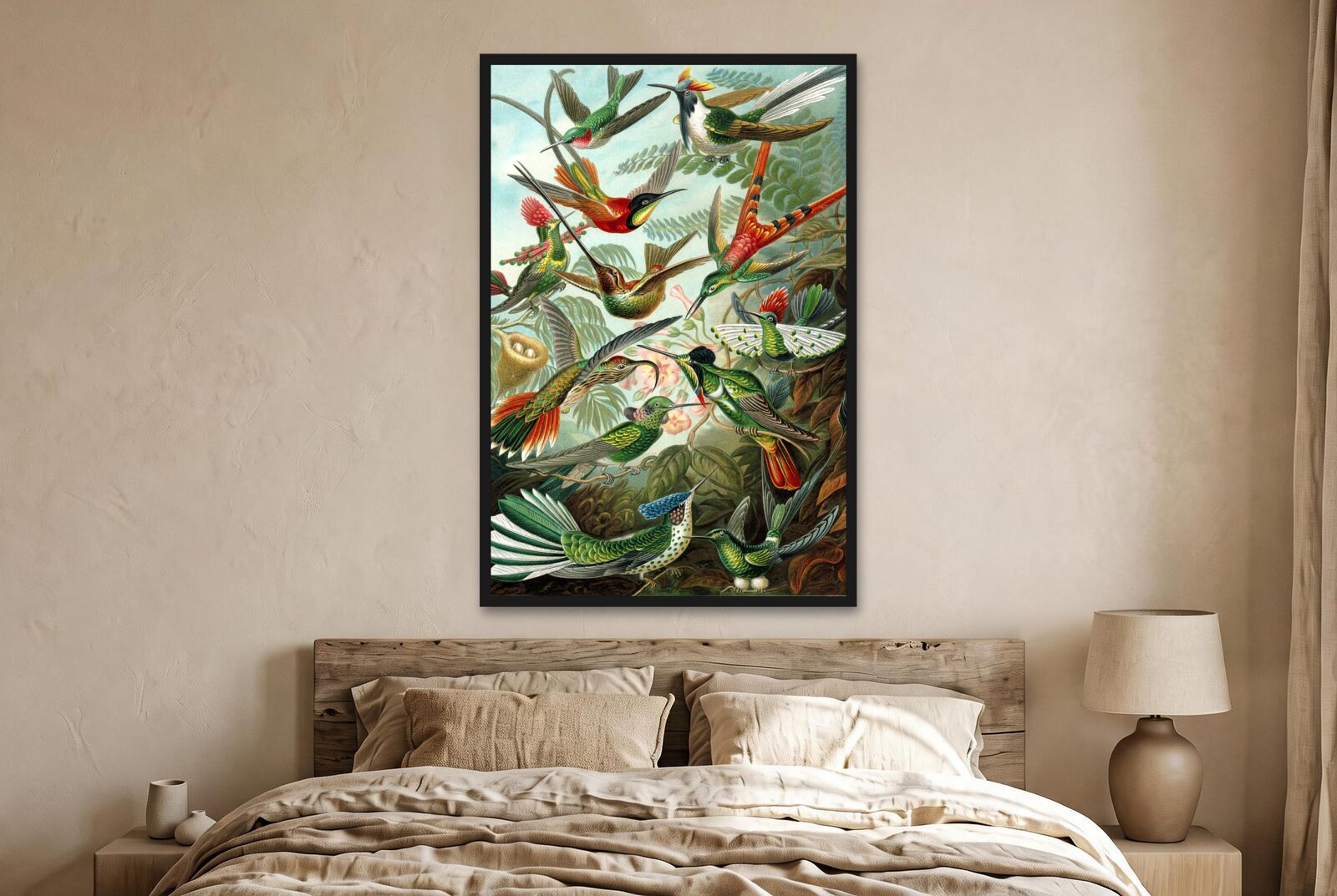 Ernst Haeckel – Hummingbirds (Trochilidae)
