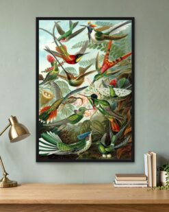 Ernst Haeckel – Hummingbirds (Trochilidae)