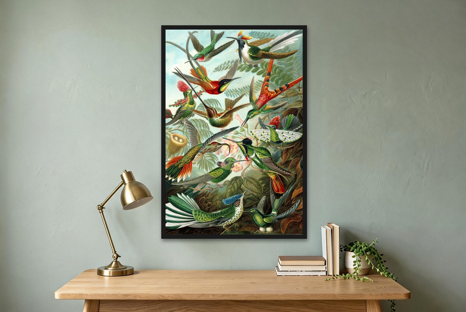 Ernst Haeckel – Hummingbirds (Trochilidae)