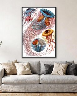 Ernst Haeckel – Jellyfish (Discomedusae)