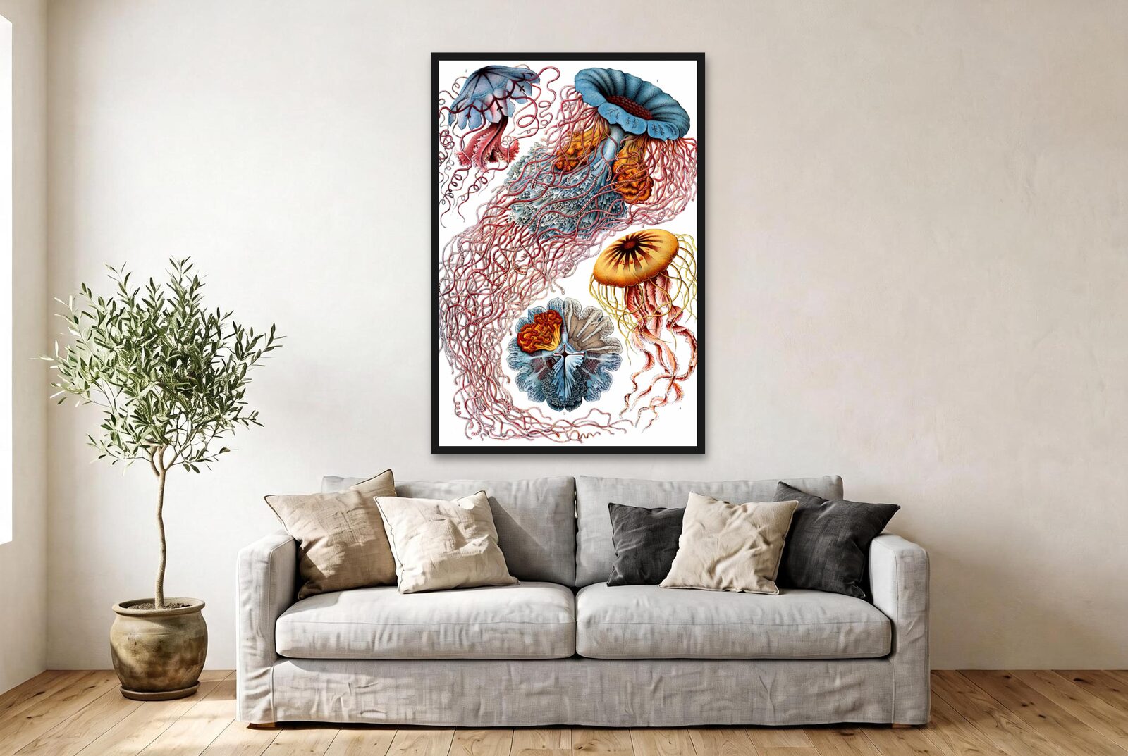 Ernst Haeckel – Jellyfish (Discomedusae)