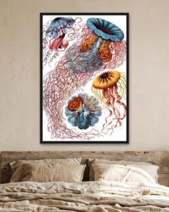 Ernst Haeckel – Jellyfish (Discomedusae)