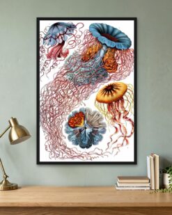 Ernst Haeckel – Jellyfish (Discomedusae)