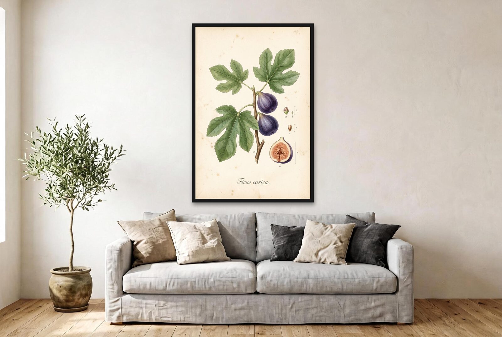 Fig Branch
