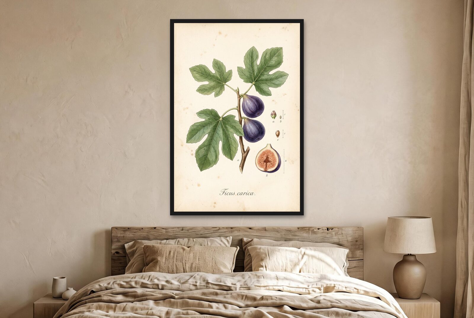 Fig Branch