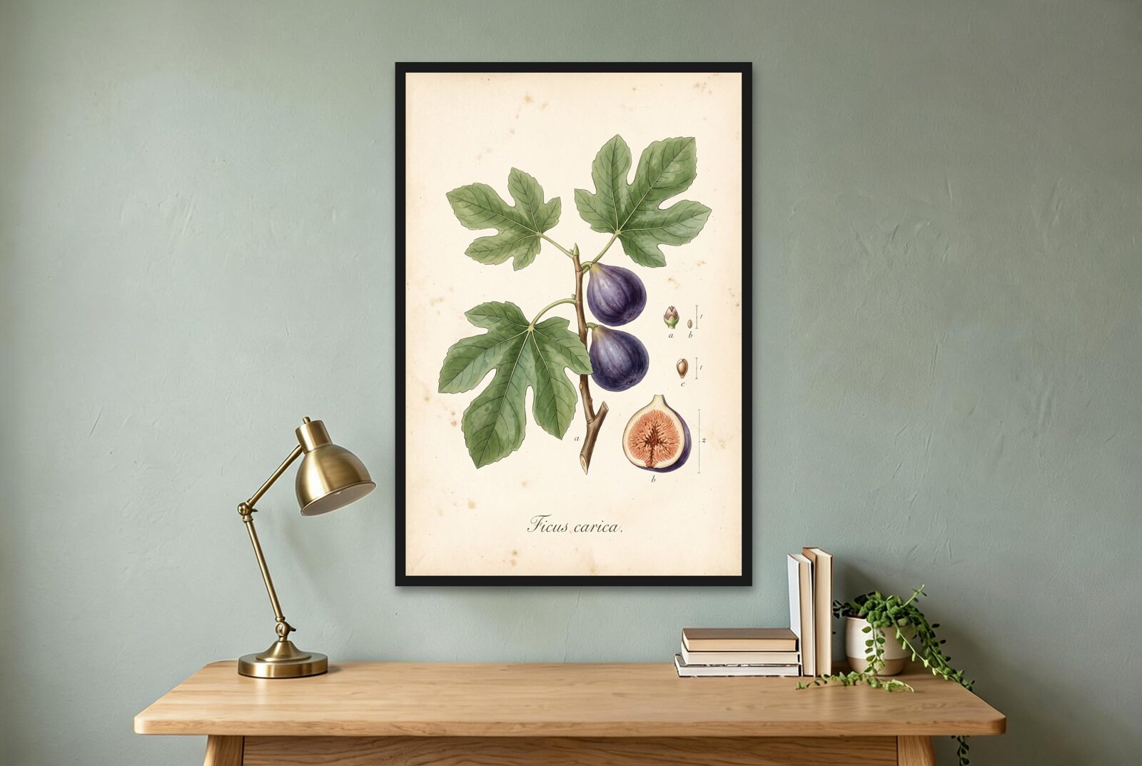Fig Branch