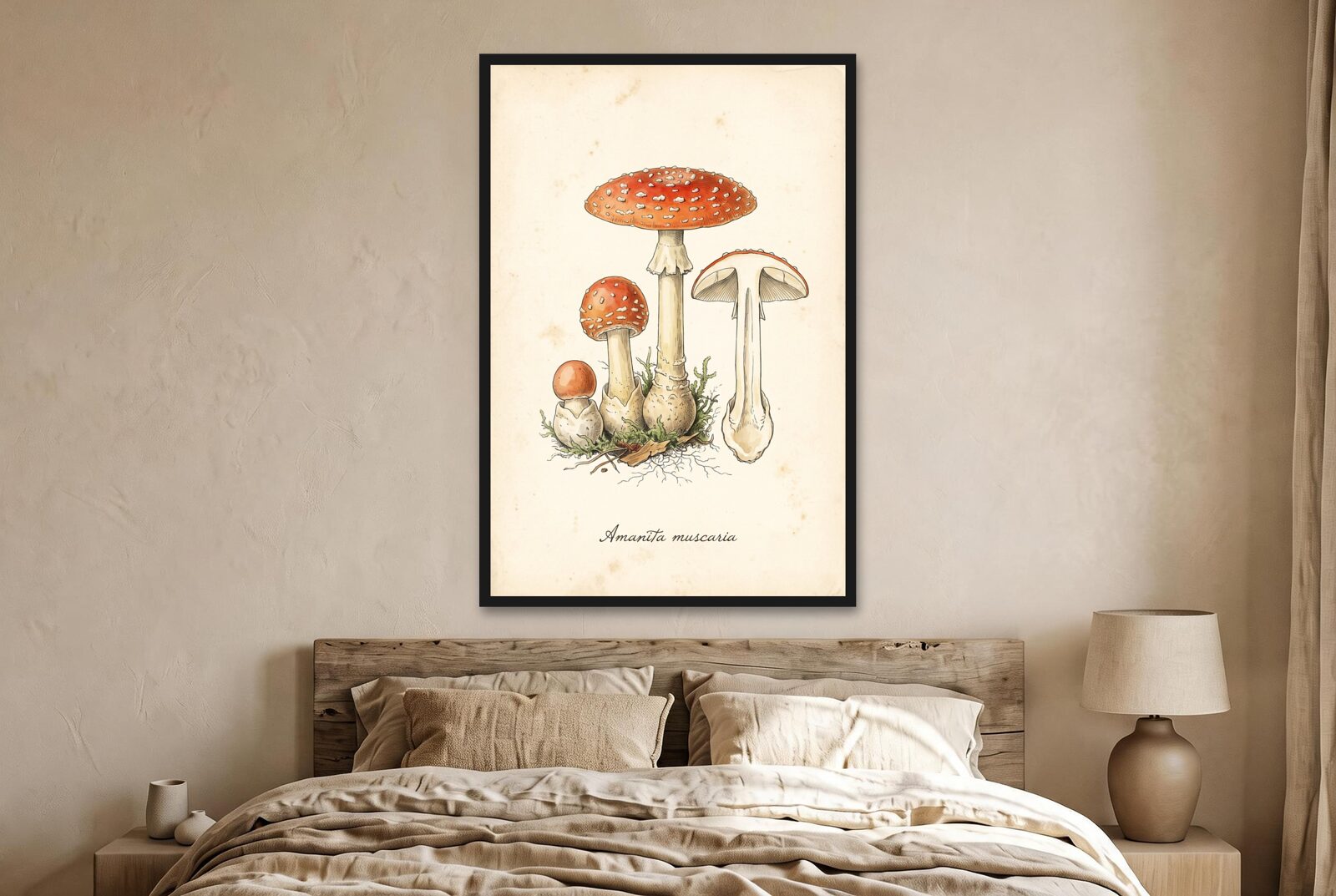 Fly Agaric