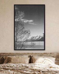 Grand Teton