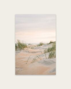 Grassy Dunes