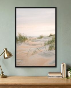 Grassy Dunes