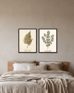 Herbarium Set of 2