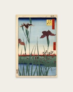 Hiroshige – Horikiri Iris Garden