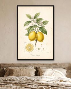 Lemon Branch
