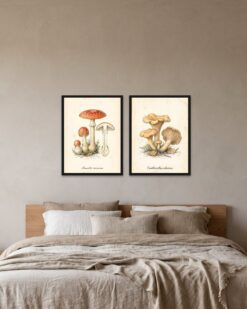 Mushroom Atlas Set of 2