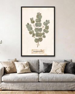 Pressed Eucalyptus