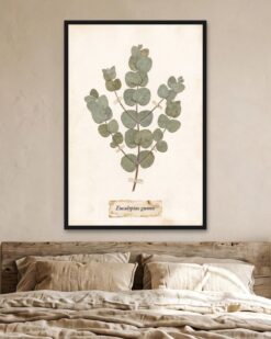 Pressed Eucalyptus