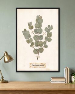 Pressed Eucalyptus
