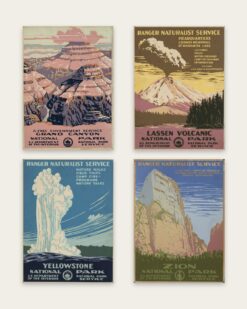 Ranger Naturalist Set of 4