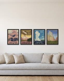 Ranger Naturalist Set of 4
