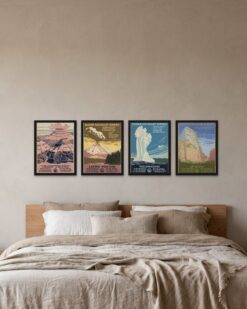 Ranger Naturalist Set of 4