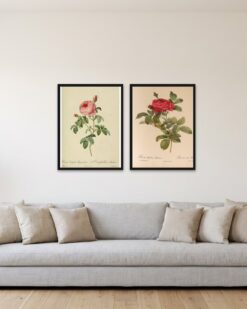 Redouté Roses Set of 2