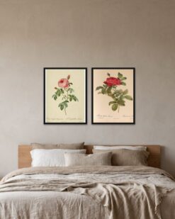 Redouté Roses Set of 2