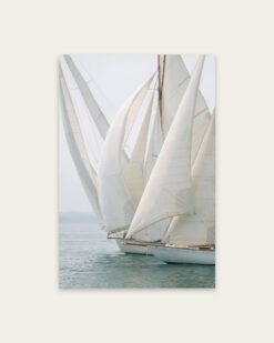 Regatta Sails