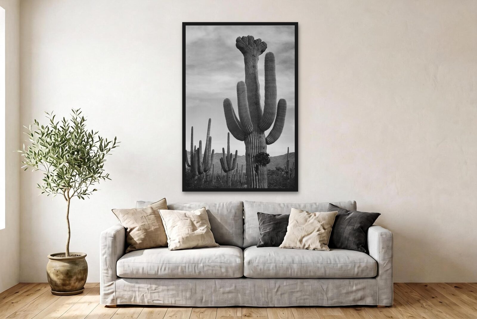 Saguaros