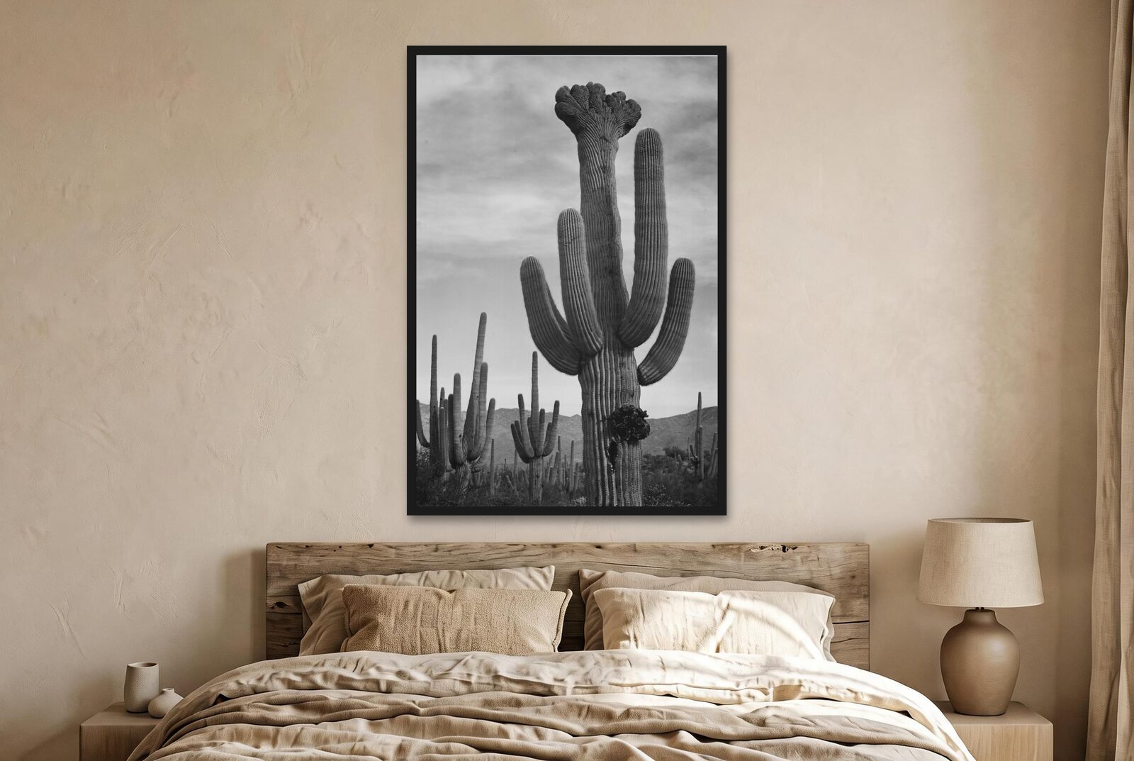 Saguaros